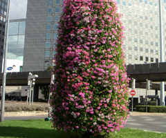 Image c5